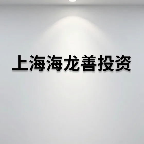 上海龙善投资