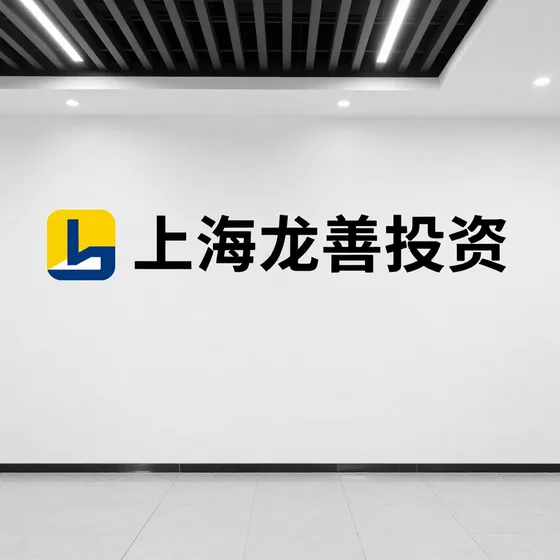 上海龙善投资