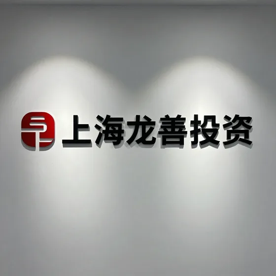 上海龙善投资