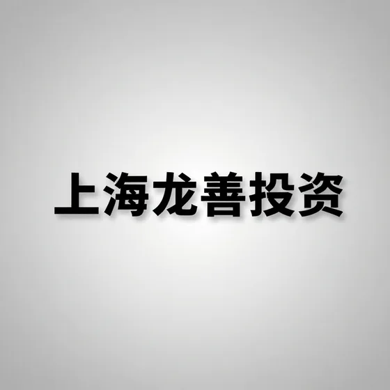 上海龙善投资价格一般是多少