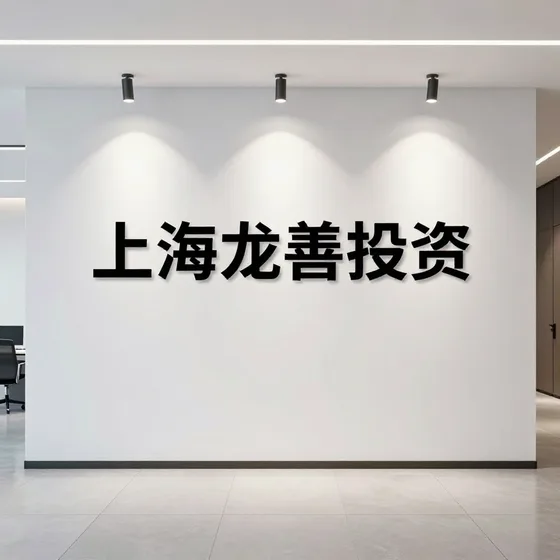 上海龙善投资报价参考