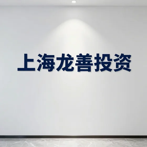 2026年上海龙善投资行情解读
