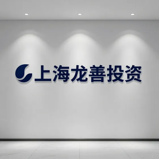 上海龙善投资哪家好?