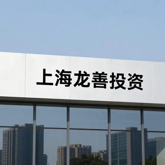 上海龙善投资行业观察